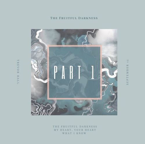 trevor hall the fruitful darkness album trevor hall the fruitful darkness album